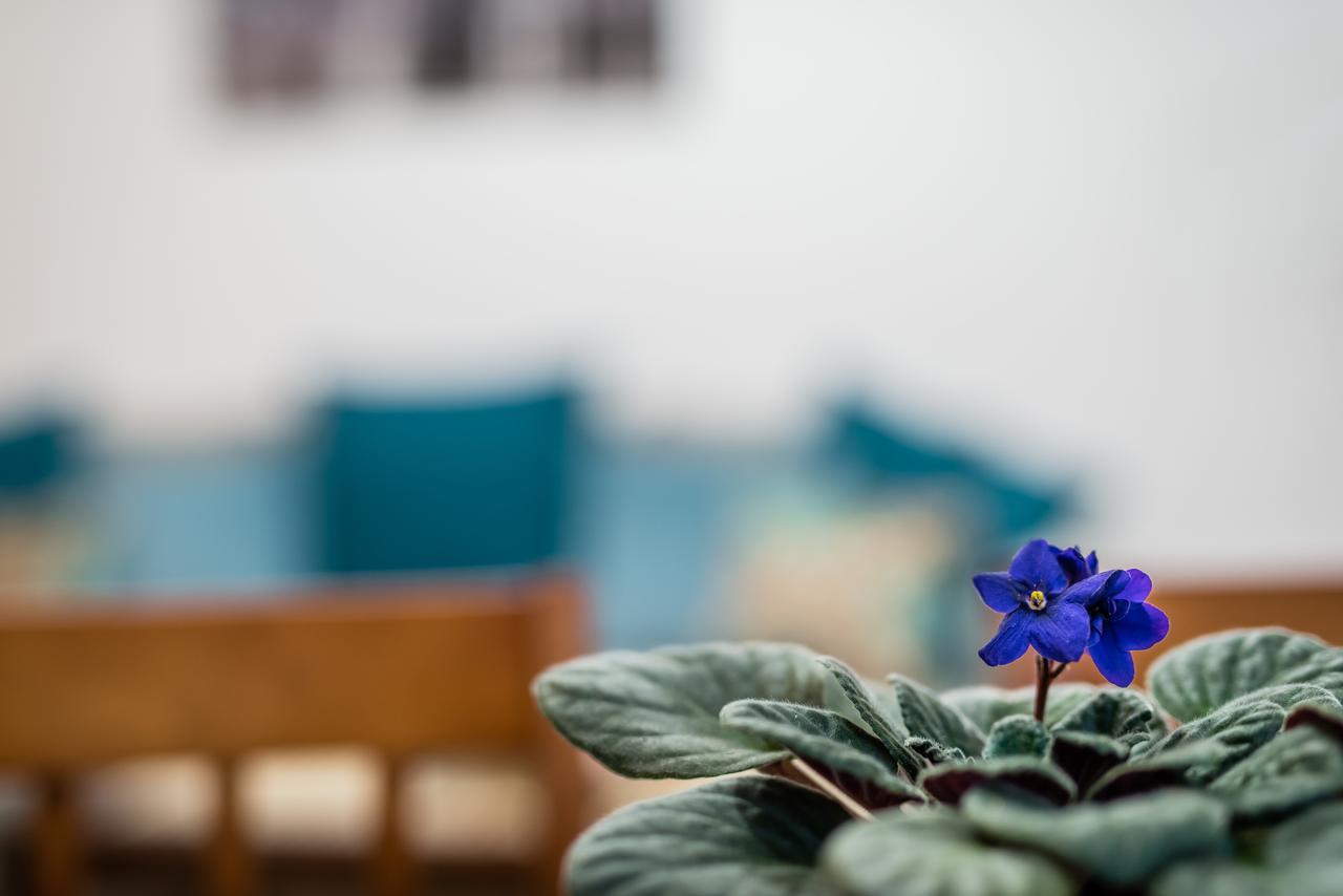 Apartamenty Bosacka Wawelofts Krasków Eksteriør bilde